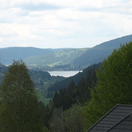 Отель Gaestehaus Faller Фельдберг Экстерьер фото